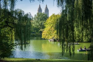 Horse Carriage Romantic Ride (VIP-Private) in Central Park 1964 3