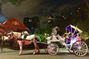 Horse Carriage Romantic Ride (VIP-Private) in Central Park 1964 4