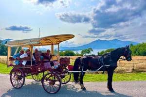 Killarney Jaunting Car Tour 3