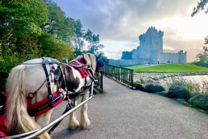 Killarney Jaunting Car Tour 4