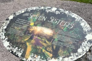  Private Guided minibus tour of Blarney Castle, Cork and Jameson  3