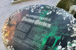  Private Guided minibus tour of Blarney Castle, Cork and Jameson  4