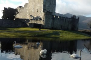 Guided Killarney National Park Walking Tour 4