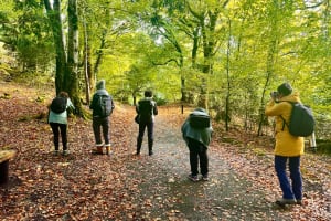 Killarney National Park Guided Private Half Day Photography Tour 3