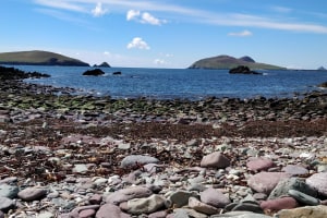 Dingle and Slea Head Private Scenic Tour 4