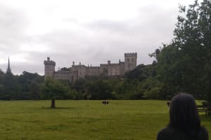 Private Tour of Majestic Blackwater Valley From Cork 3