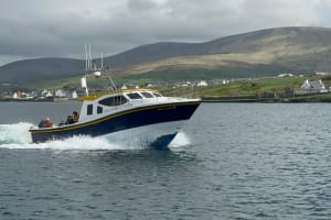 Unforgettable Skellig Michael Boat Tour 3