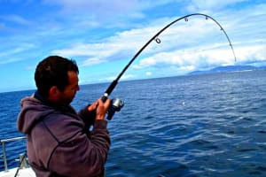 Private Trip: Connemara Deep Sea Angling Day Trip from Cleggan 4
