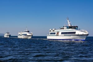 Aran Islands and Cliffs of Moher Day Cruise sailing from Galway City Docks 3