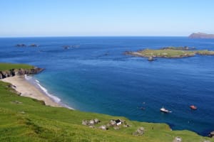 Dolphin and Whale Watching Tour from Dingle 3