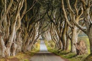 Giants Causeway Private Tour from Belfast 3