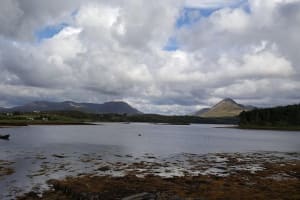 Oyster Farm and Tasting Experience 3