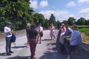 Private Walking Tour of Adare 3
