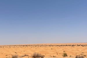 Day Trip to the Tunisian Desert: Ksar Ghilane and Tataouine 3