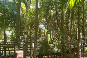 Tamborine Mountain Winery and Glow Worm Caves Tour 4