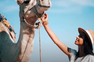 Atlas Mountains, Imlil valley, waterfalls, & Camel ride Day trip from Marrakech 3