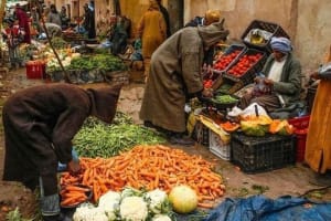 Atlas Mountains Tour With a Guide from Marrakech  4