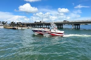 Private Dolphin and Intracoastal Tour of Anna Maria Island 3