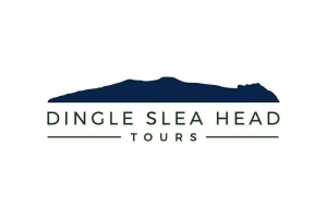 Dingle to Kerry Airport Private Transfer 3