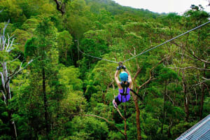 Gold Coast Canyon Flyer Zipline Tour 3