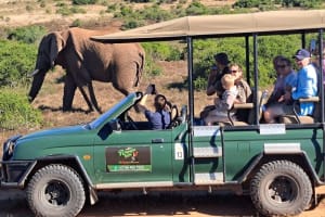 2 Day Schotia Safari Tour in Port Elizabeth 3