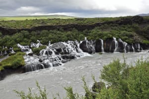 Ground-level view of Hraunfossar waterfalls under overcast skies, with multiple cascades spilling over black lava rock into a grey-blue rive