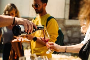 Overnight Tour from Madrid to Toledo, Segovia & Avila 4