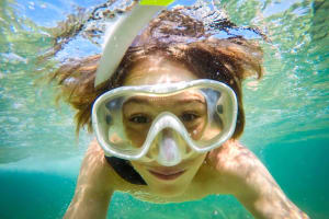 Private Dolphin Watching & Swim Yacht Tour Pula 4