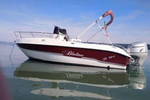 Private Dolphin Tour from Fazana - Brijuni Islands Adventure 3