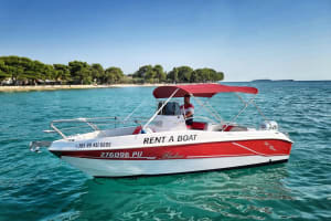 Private Dolphin Tour from Fazana - Brijuni Islands Adventure 4