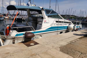 Private Dolphin, Sea Fun and Sunset Boat Tour from Pula 3