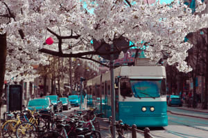 Bergen to Stockholm: 8-Day Holiday Fjords & Capitals Tour 3
