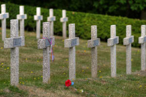 Stone crosses in a World War I military cemetery with a red poppy