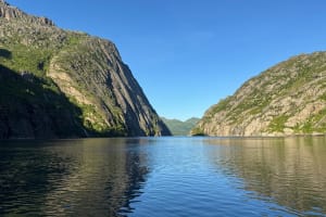 Svolvær: Trollfjord Cruise & Sea Eagle Safari by Catamaran Tour 4