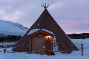 Tromsø: Reindeer Feeding and Sami Culture Tour 4