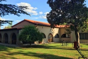 Excursión a Bodegas y Fábrica Aceite de Oliva en Mendoza 3
