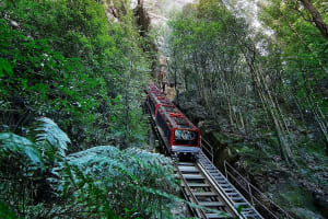Blue Mountains Deluxe Small Group Tour Sydney 4