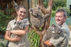 Private South Coast Wildlife & Wine Tour Sydney 3