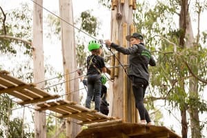Great Ocean Road & Livewire Adventure Tour 3