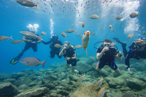 Try Dive – PADI Discover Scuba Diving 3