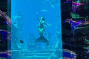 Lost World Aquarium Tickets 4