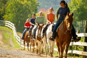 Horseback Trail Ride in Sevierville 4