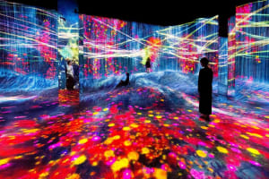 Visitors exploring colorful immersive digital art installation at TeamLab Phenomena Abu Dhabi