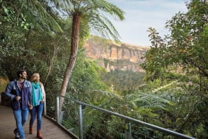Blue Mountains Hop On Hop Off Explorer Bus 3