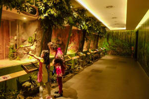 Siam Amazing Park + Siam Serpentarium Snake Museum Bangkok 4