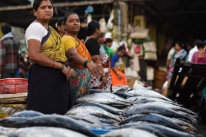 Mumbai Early Morning Markets Tour 4