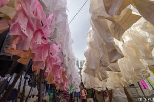 Mumbai Dabbawala, Dhobi Ghat & Dharavi Slum Tour 4