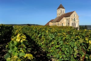 Reims Cathedral, Veuve Clicquot & Family Grower Private Tour 4