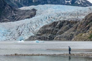 Mendenhall Glacier & Whale Watching Tour Juneau 3