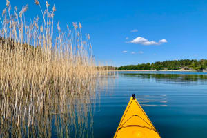 Kayak Tour in Stockholm Archipelago 3